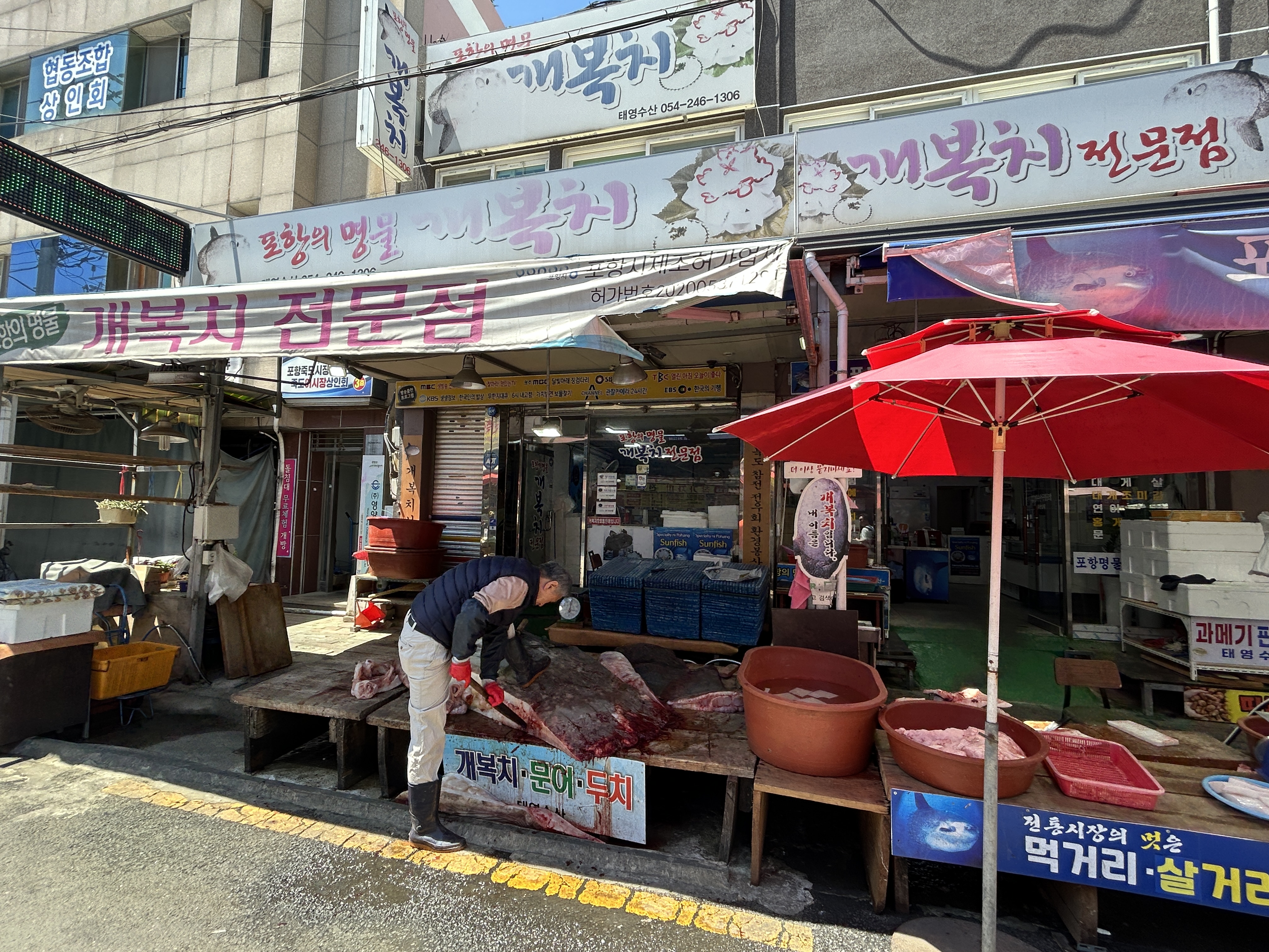 개복치 해체 작업